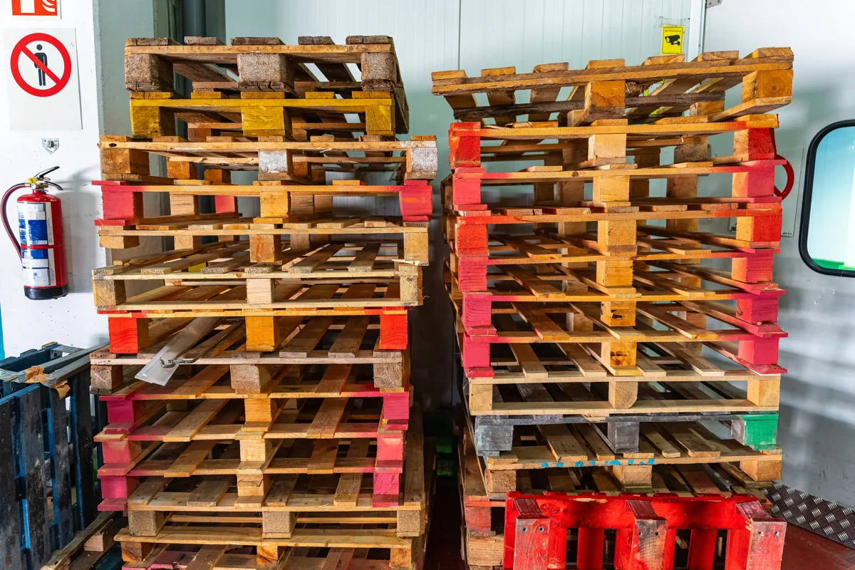 Zaloga praznih lesenih palet v logističnem prostoru